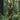 PRE-ORDER: 'Jungle Act' Certified Organic Cotton tee-dress (woman) – Khaki